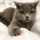 Soft Cat nail caps